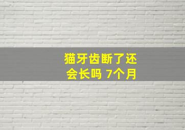 猫牙齿断了还会长吗 7个月